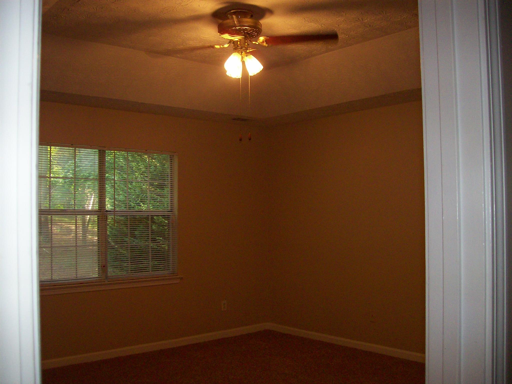 158 Dailey Walk, Mcdonough, GA 30253 photo 20
