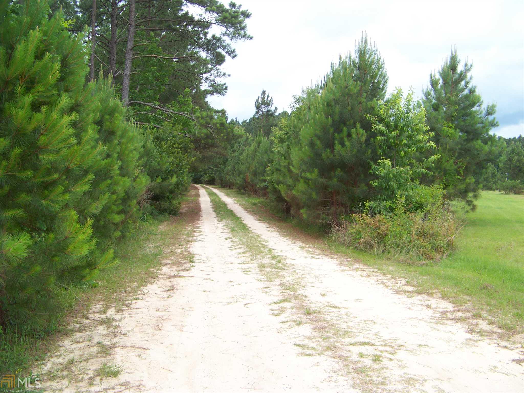 18115 Old River Rd, Garfield, GA 30425 photo 3