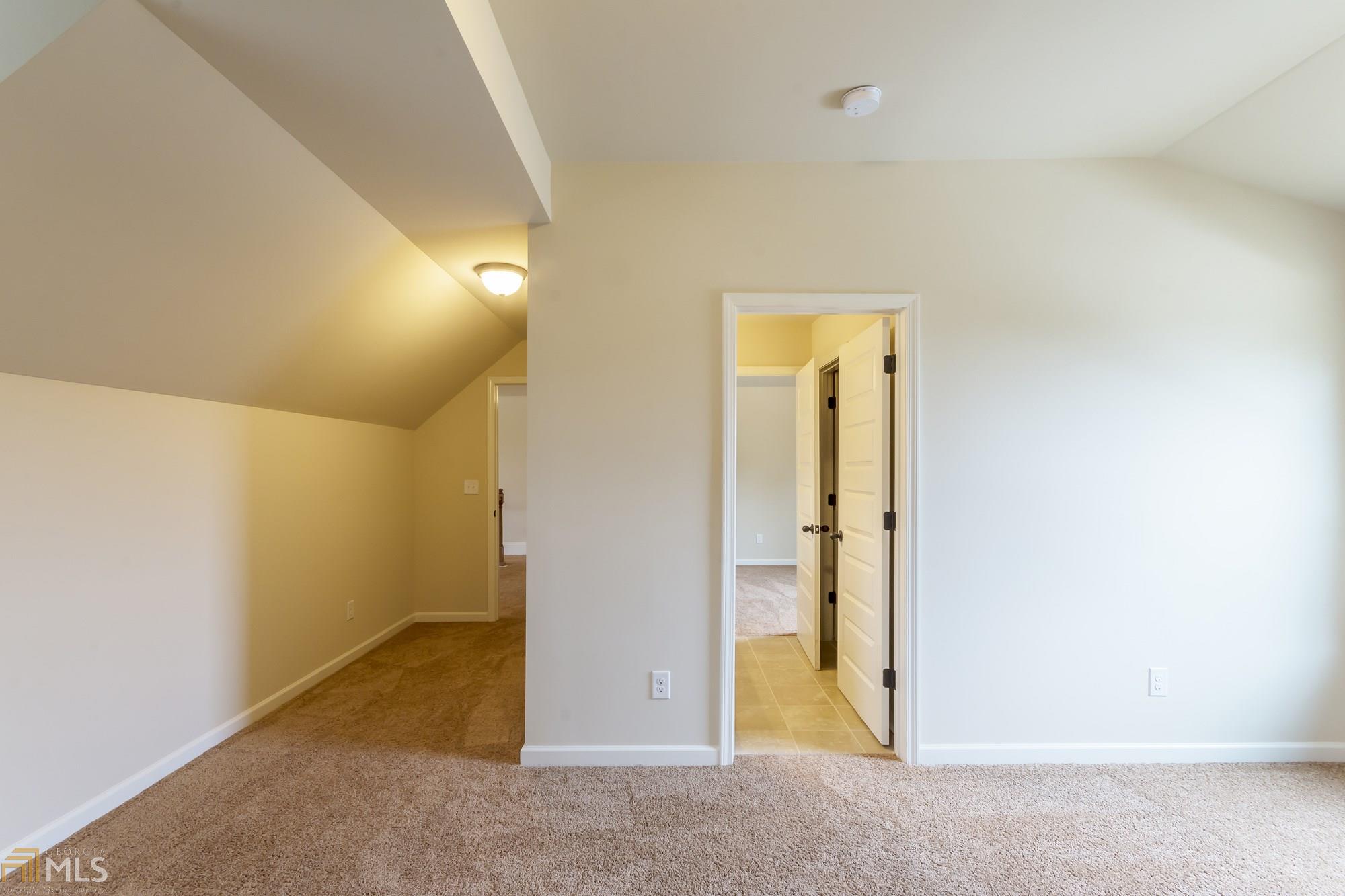 2336 Braunsroth Ln, Hampton, GA 30228 photo 31