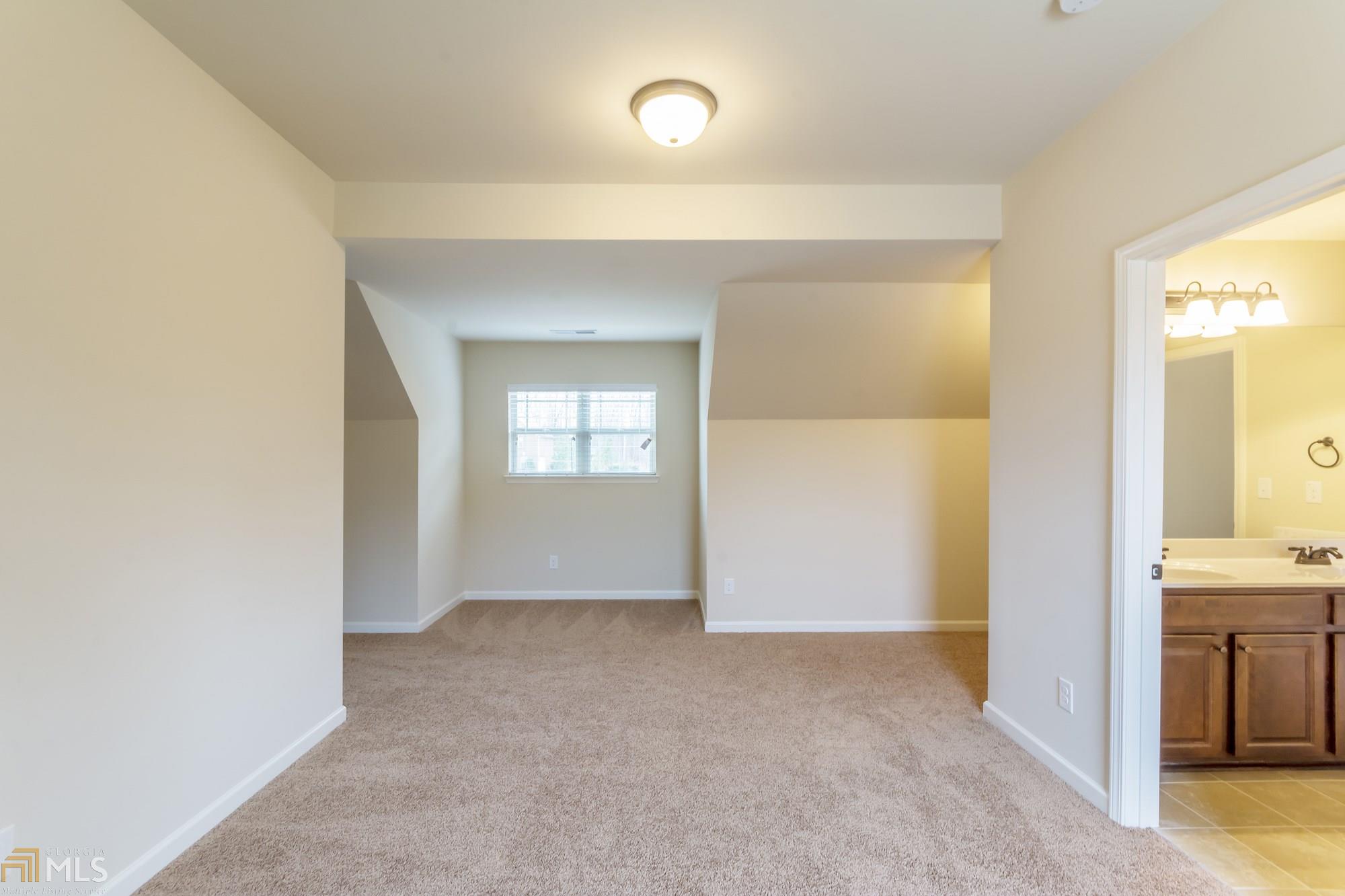 2336 Braunsroth Ln, Hampton, GA 30228 photo 32