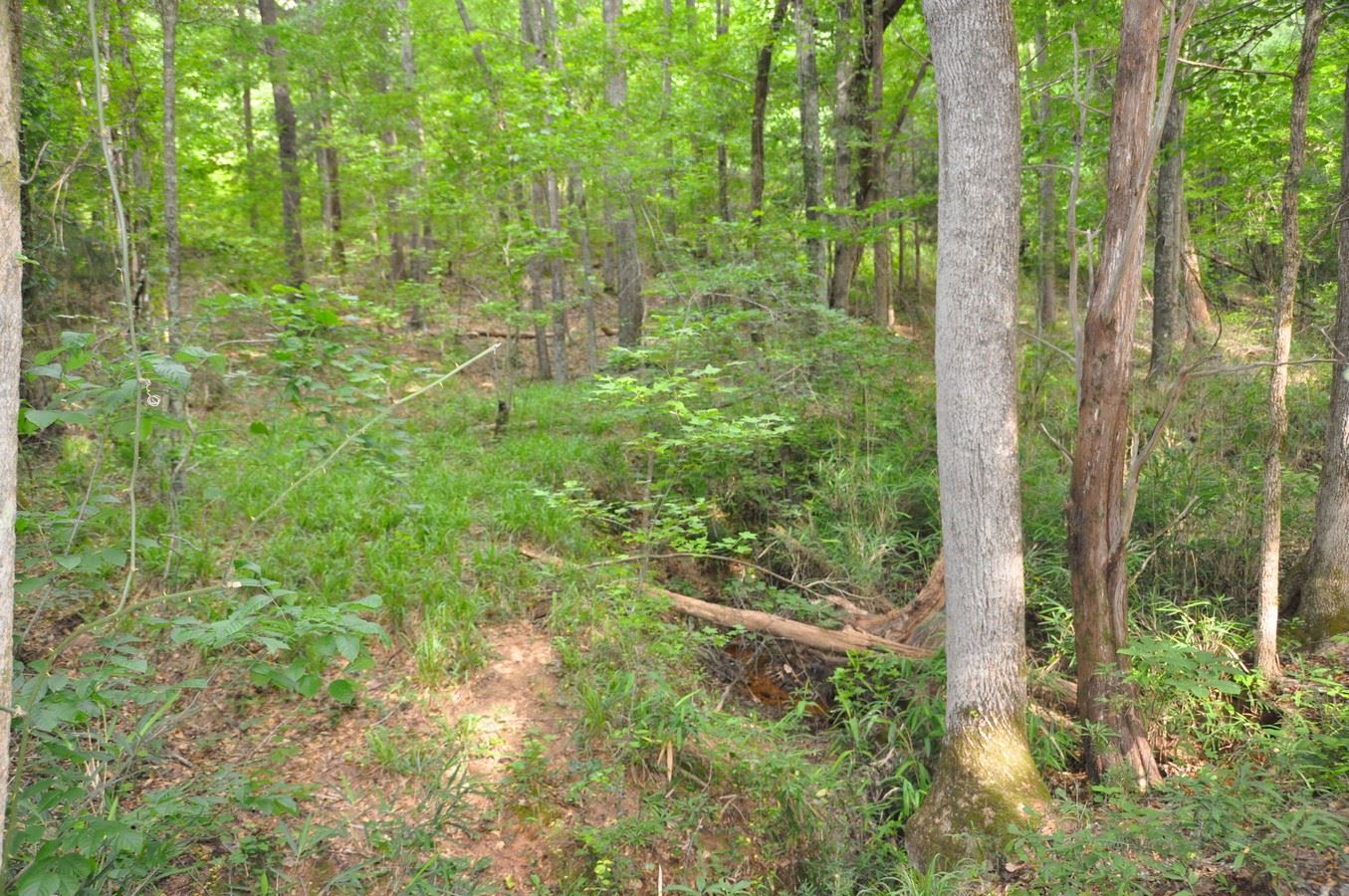 1220 Shepherd Rd, Madison, GA 30650 photo 7