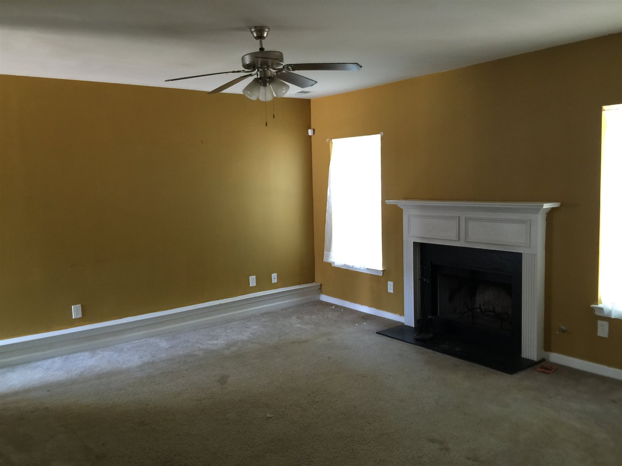 1136 Oak Holw, Hampton, GA 30228 photo 12