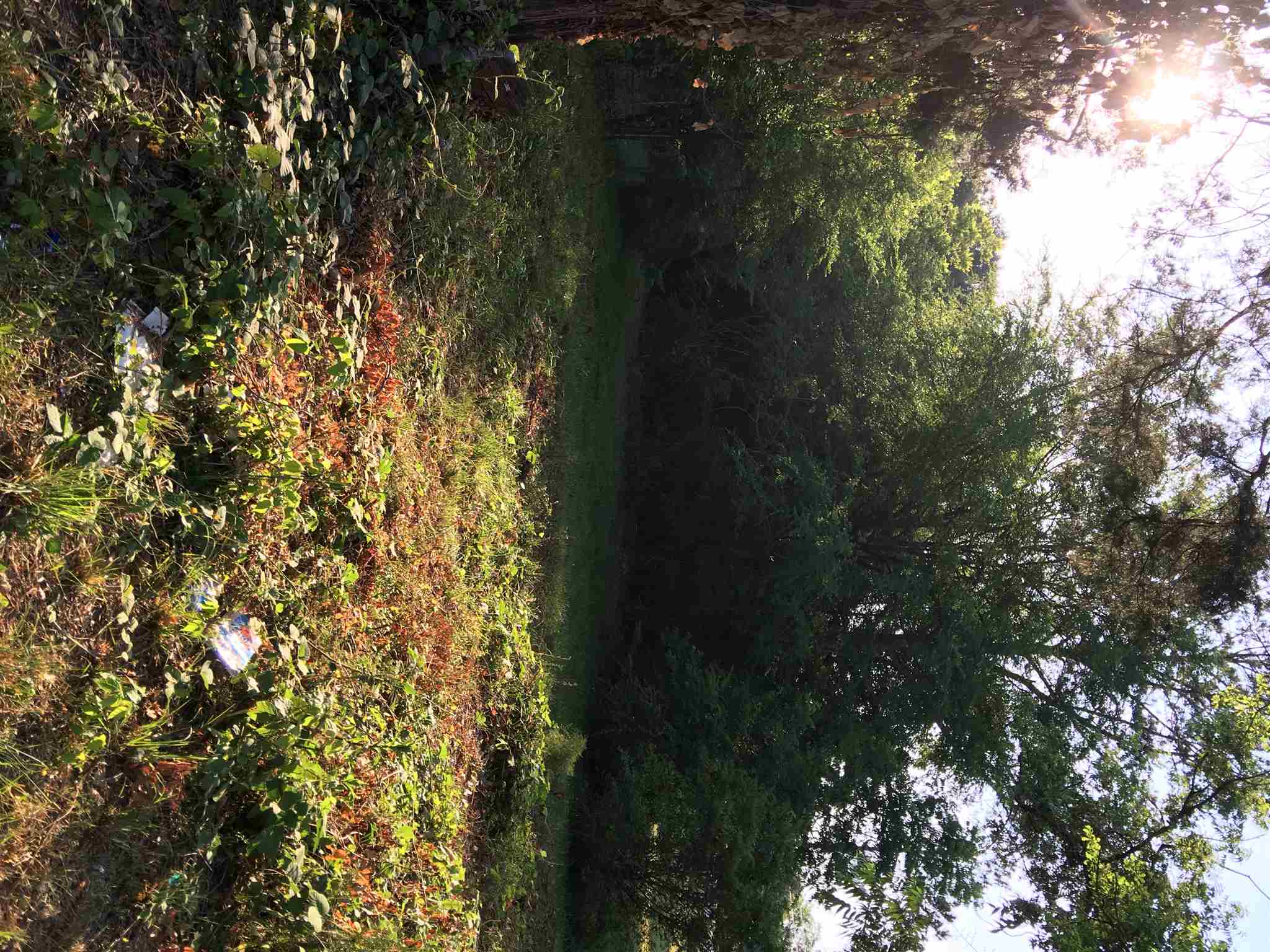 613 Daniel St, Lagrange, GA 30241 photo 2