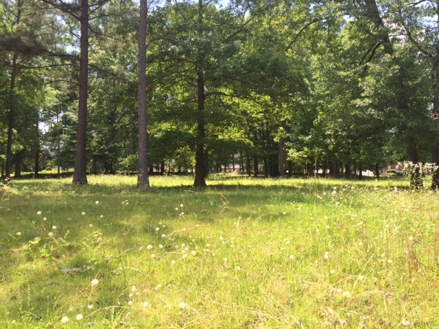 215 Hampton Way, Macon, GA 31220 photo 5