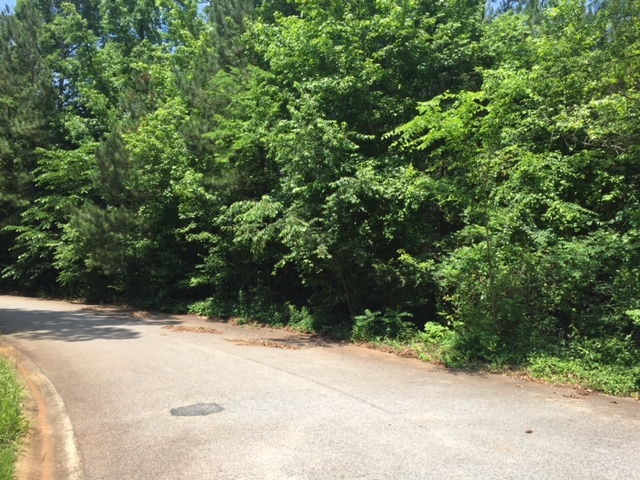 160 Hampton Way, Macon, GA 31220 photo 6