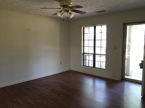 282 Collins Ave, Centerville, GA 31028 photo 5