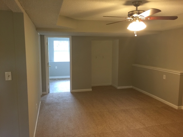 120 River Trace Ct, Mcdonough, GA 30253 photo 31