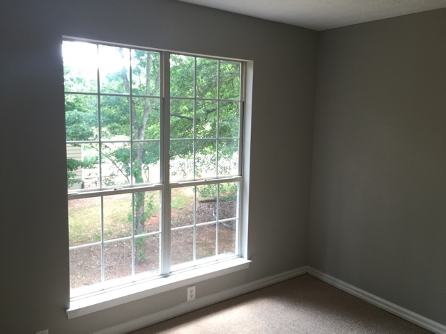 120 River Trace Ct, Mcdonough, GA 30253 photo 11