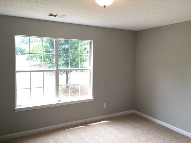 120 River Trace Ct, Mcdonough, GA 30253 photo 19