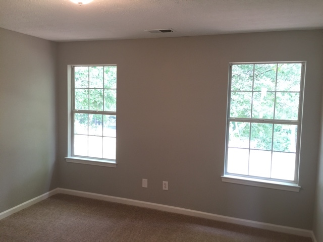 120 River Trace Ct, Mcdonough, GA 30253 photo 24
