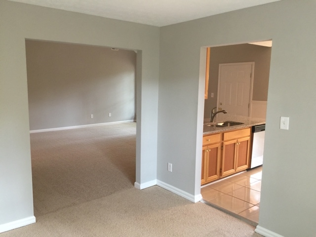 120 River Trace Ct, Mcdonough, GA 30253 photo 12