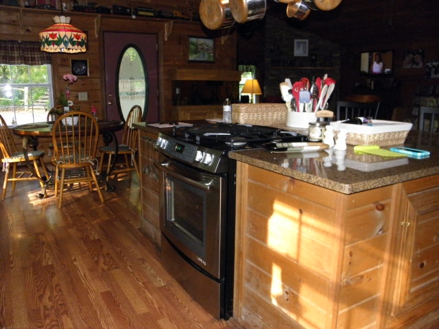 153 Pine Ave, Demorest, GA 30535 photo 3