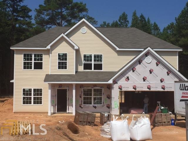 13228 Cooper Ct, Hampton, GA 30228 photo 1