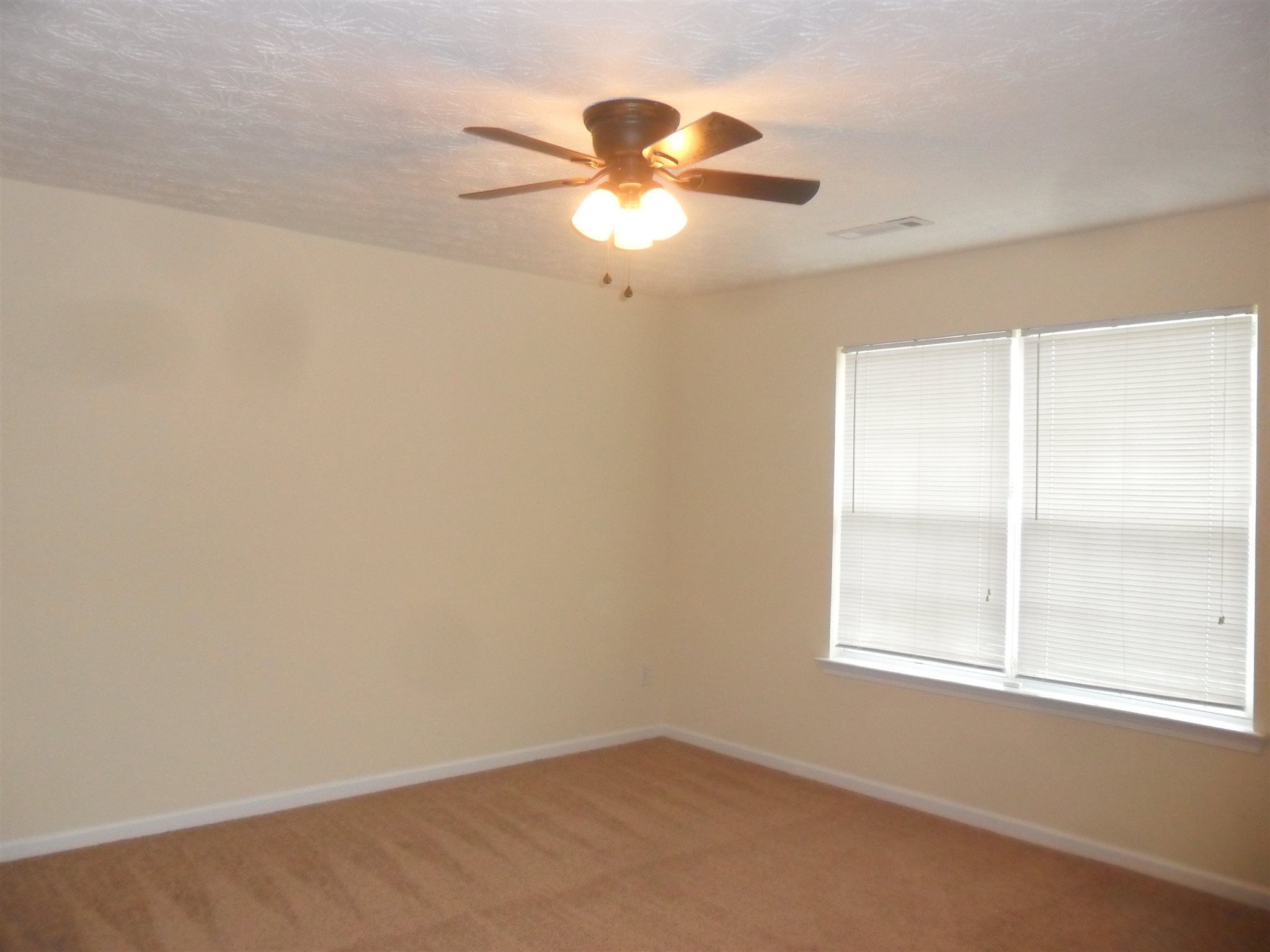 2303 Stroud Rd, Jackson, GA 30233 photo 18