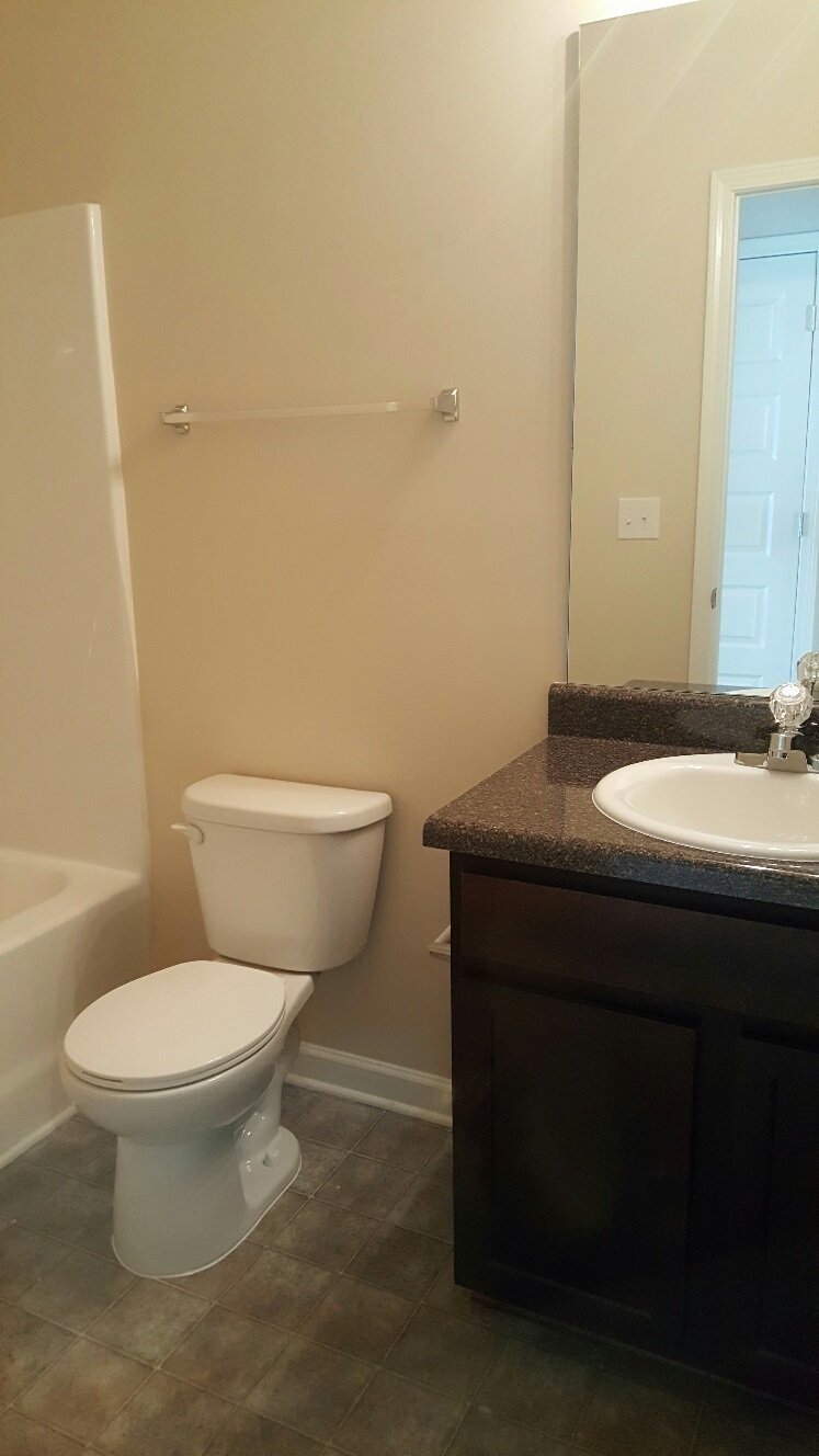 3670 Lebella Ln, Bethlehem, GA 30620 photo 19