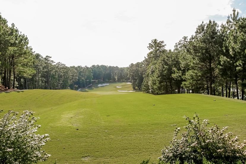 4580 Oglethorpe Loop, Acworth, GA 30101 photo 23