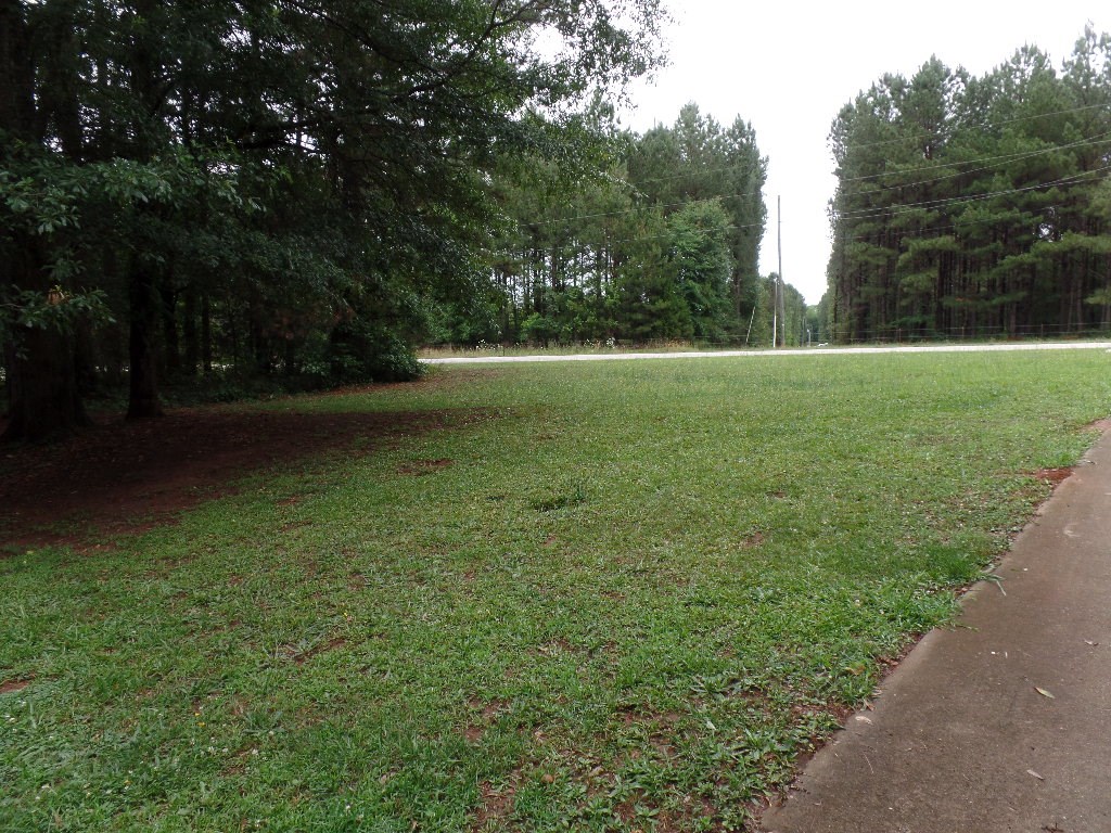 1270 S Hampton Rd, Hampton, GA 30228 photo 15