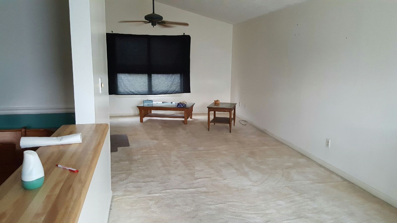 1668 Lovejoy Rd, Hampton, GA 30228 photo 5