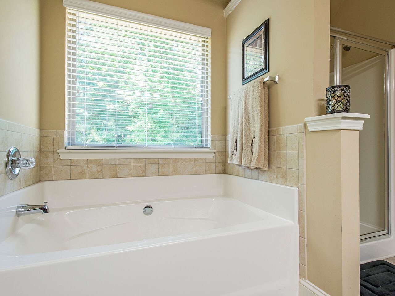 181 Luke Cv, Hampton, GA 30228 photo 17