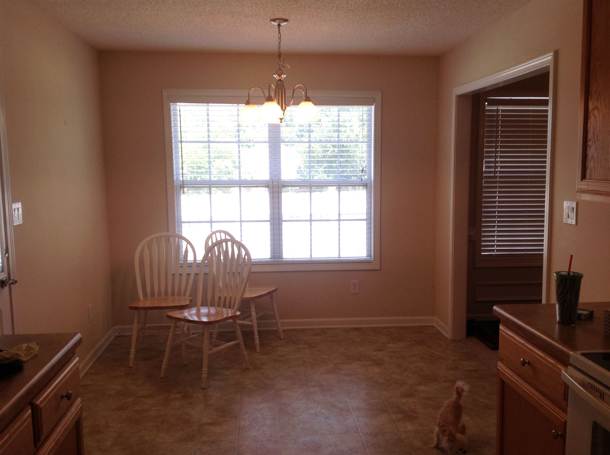 1633 Celestial Ct, Mcdonough, GA 30253 photo 3