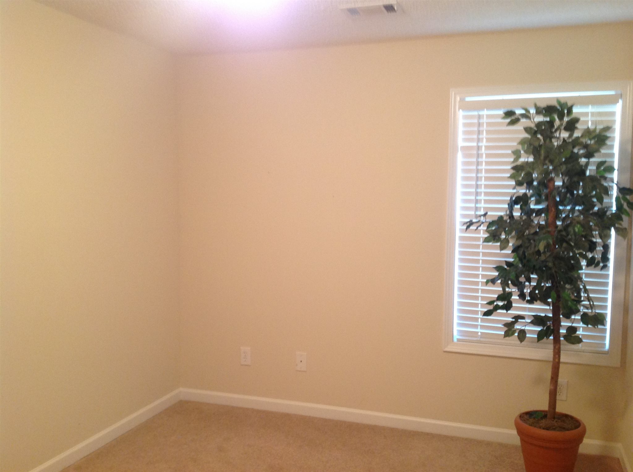 1633 Celestial Ct, Mcdonough, GA 30253 photo 10