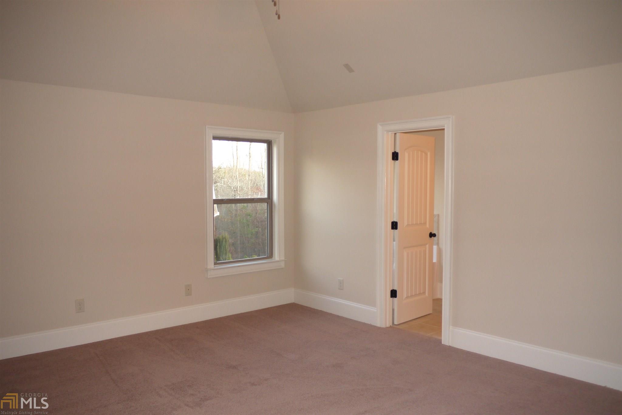 1116 Norsworthy Ml, Hampton, GA 30228 photo 16