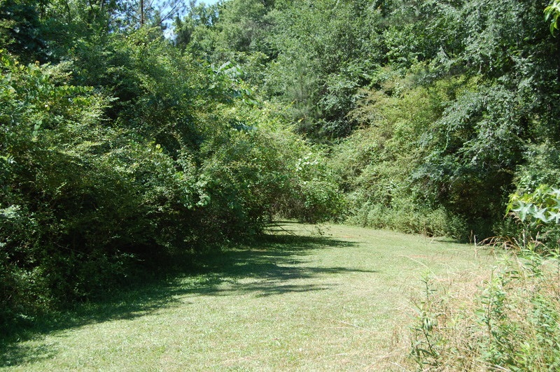 1995 Comer Rd, Comer, GA 30629 photo 15