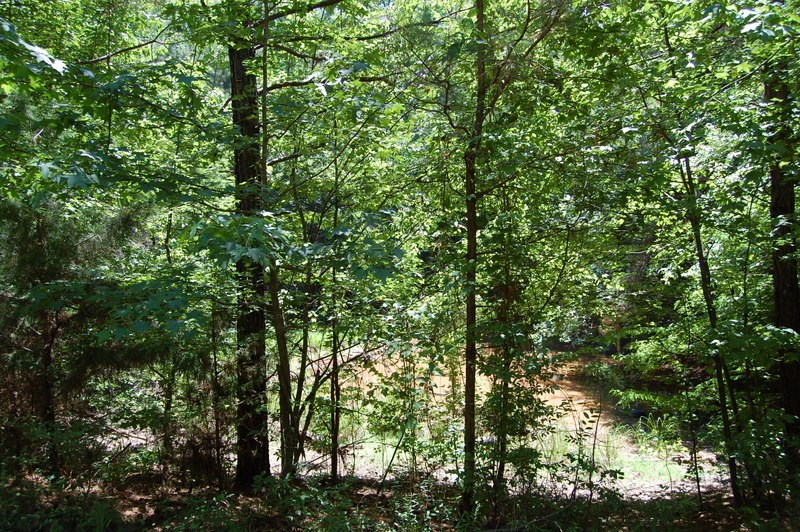 1995 Comer Rd, Comer, GA 30629 photo 17