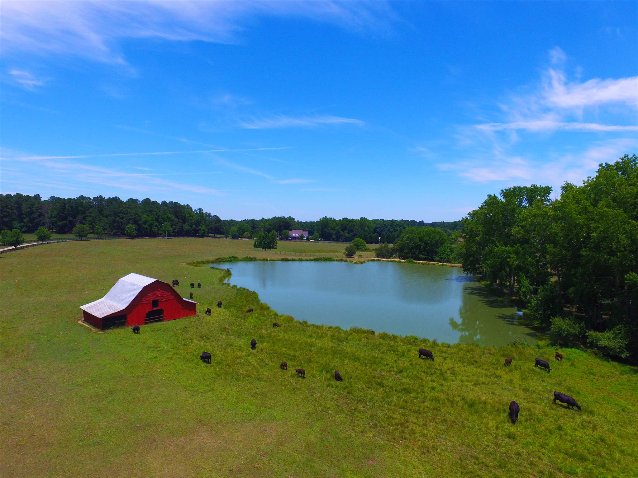 588 Scott Rd, Williamson, GA 30292 photo 2
