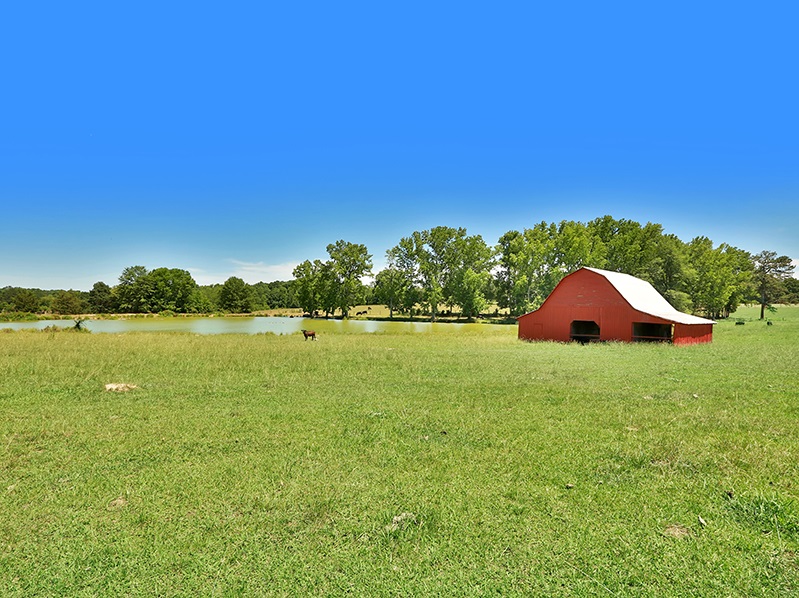 588 Scott Rd, Williamson, GA 30292 photo 32