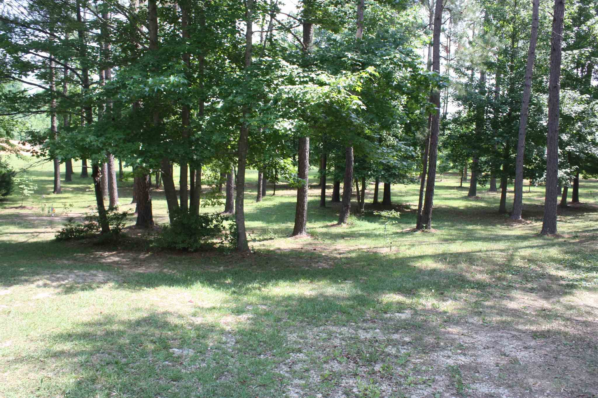 1997 Thompson Rd, Franklin, GA 30217 photo 4