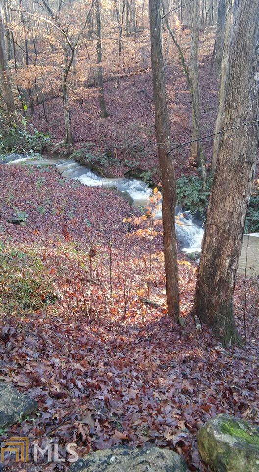450 Homer Stephens Rd, Cornelia, GA 30531 photo 30