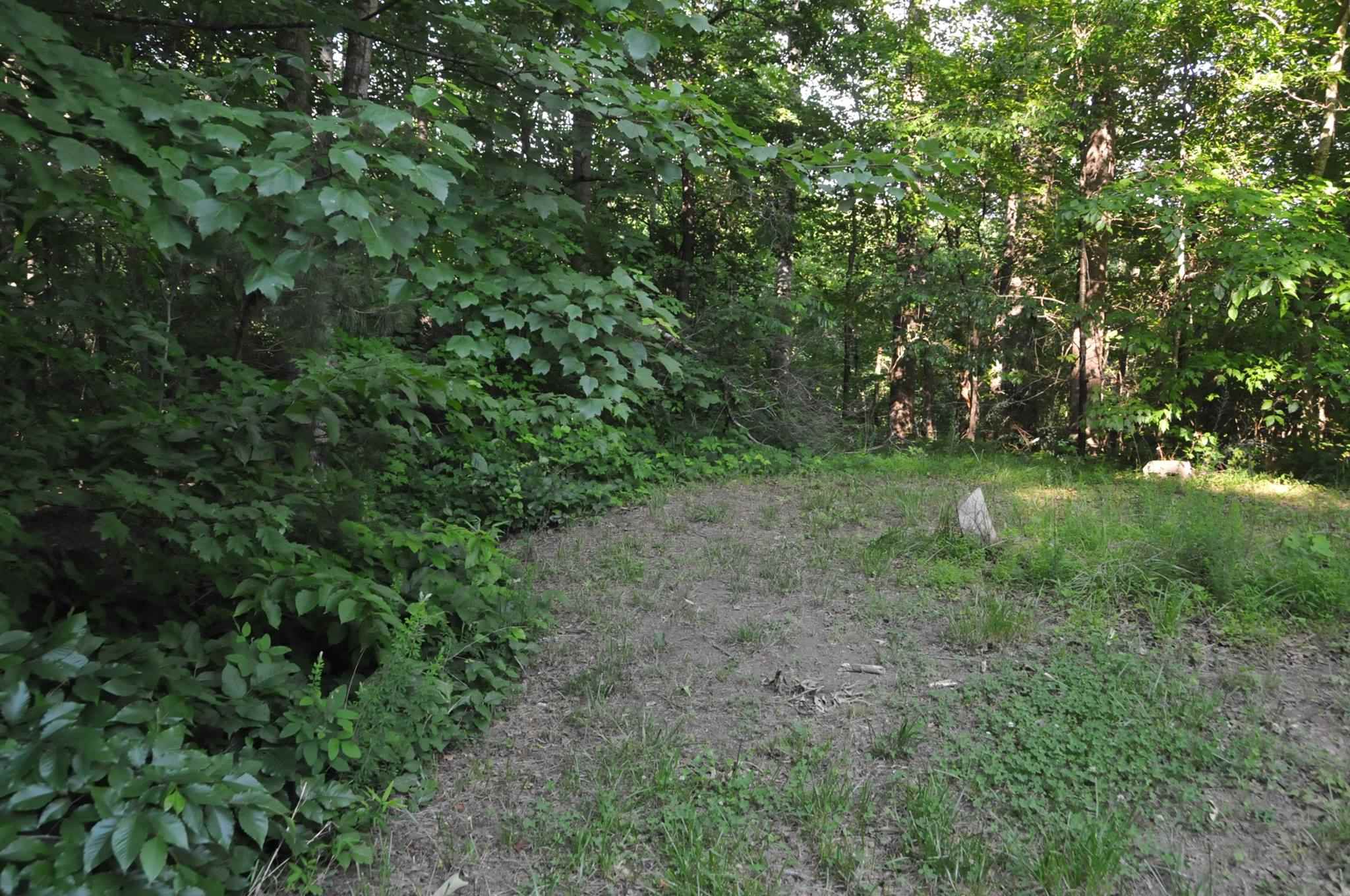 516 Watson St, Toccoa, GA 30577 photo 22