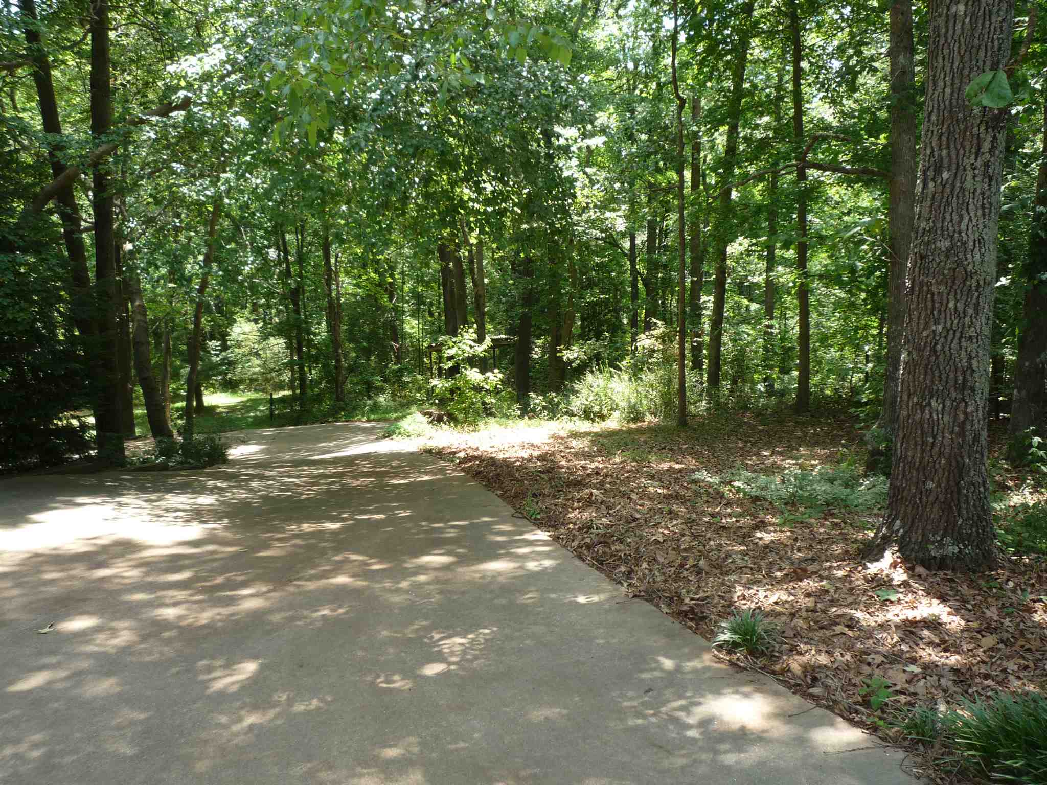 488 Taylor Rd, Suwanee, GA 30024 photo 4