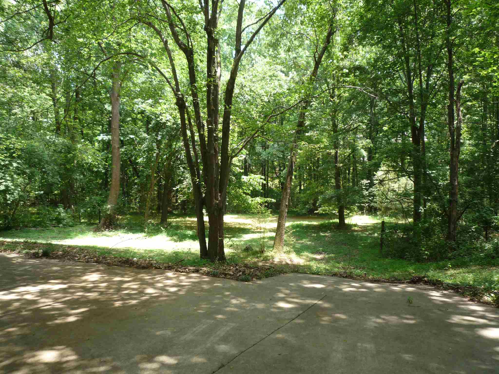 488 Taylor Rd, Suwanee, GA 30024 photo 5