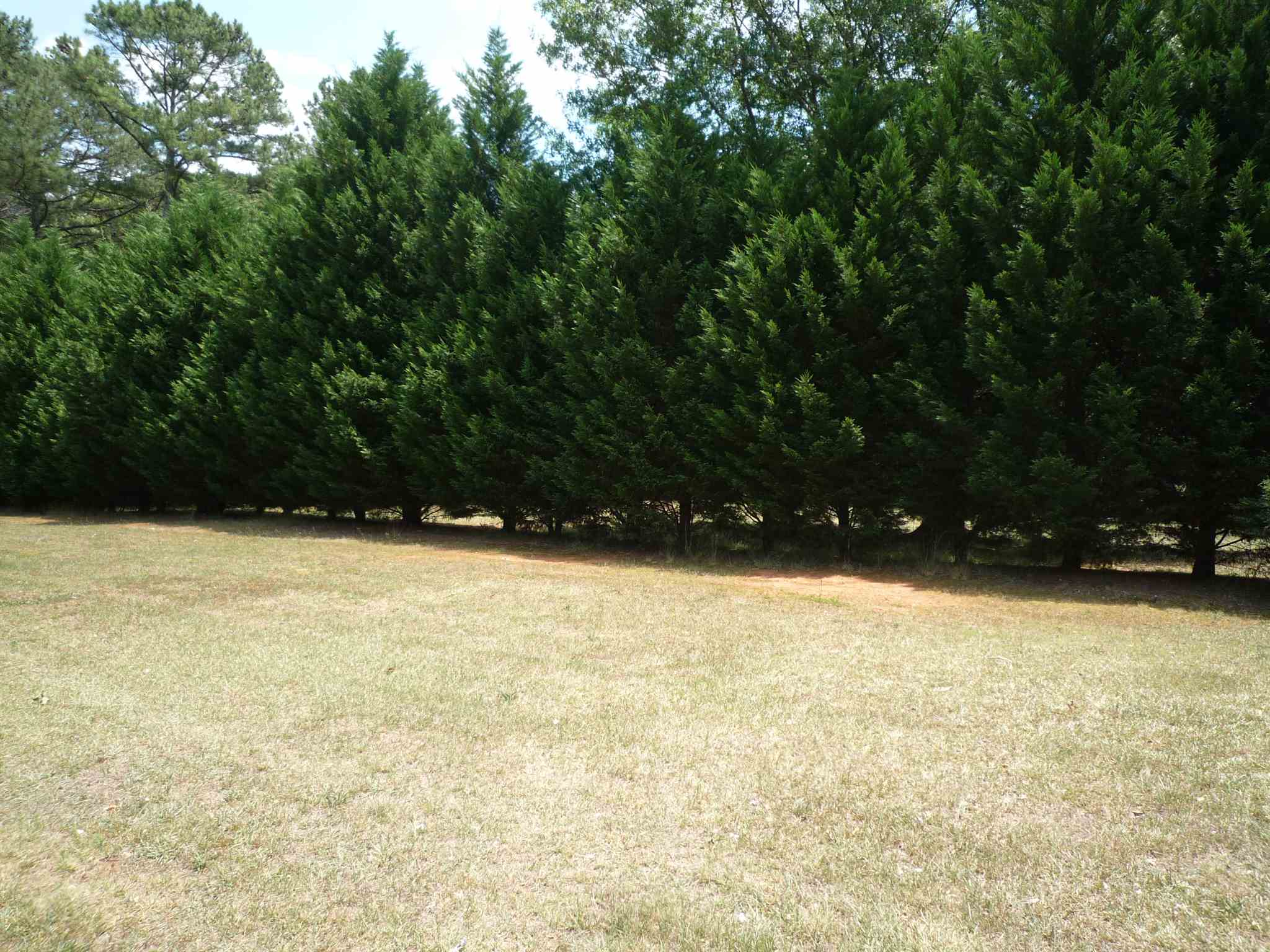 488 Taylor Rd, Suwanee, GA 30024 photo 11