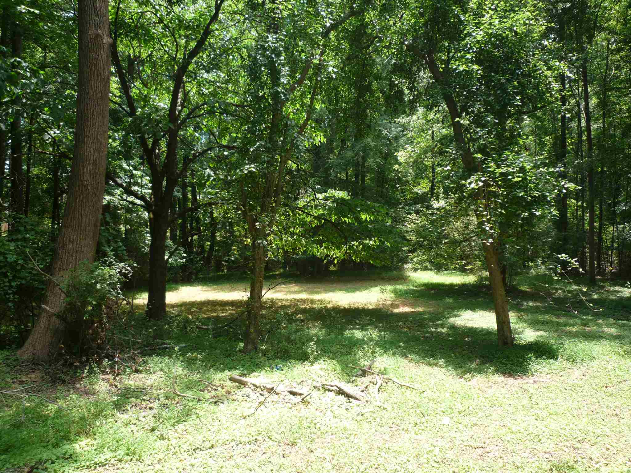 488 Taylor Rd, Suwanee, GA 30024 photo 8