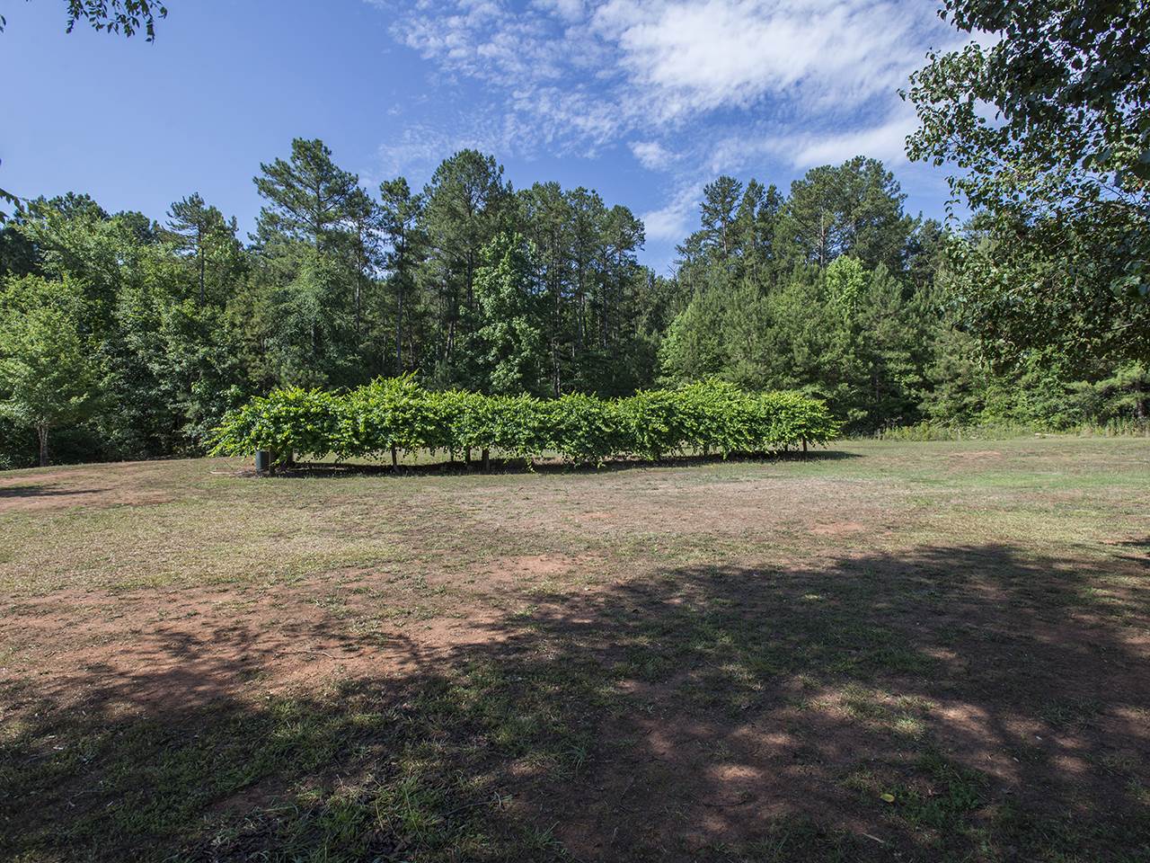62 Norman Rd, Covington, GA 30014 photo 24