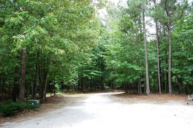 20 Roy Dean Rd, Buchanan, GA 30113 photo 3