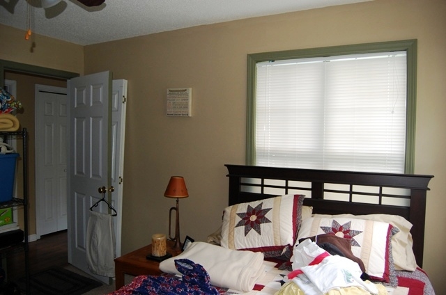 20 Roy Dean Rd, Buchanan, GA 30113 photo 13