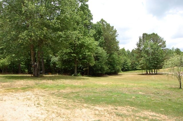 20 Roy Dean Rd, Buchanan, GA 30113 photo 6
