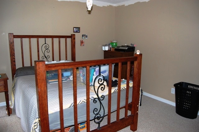 20 Roy Dean Rd, Buchanan, GA 30113 photo 10
