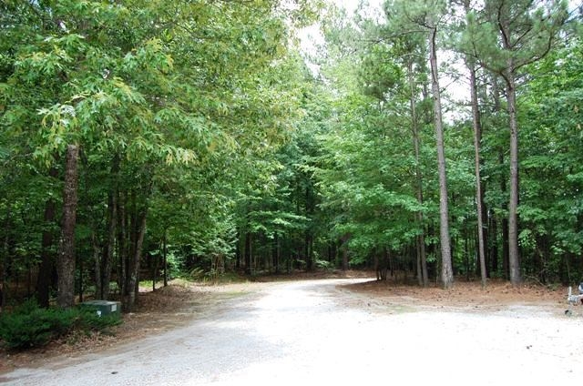 20 Roy Dean Rd, Buchanan, GA 30113 photo 4
