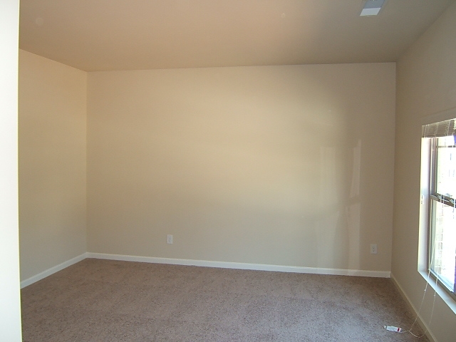 347 Lamont Ln, Hampton, GA 30228 photo 22