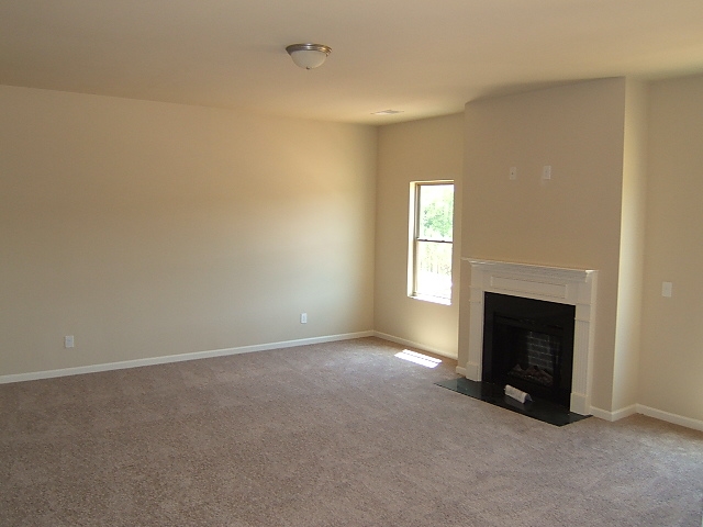 347 Lamont Ln, Hampton, GA 30228 photo 19