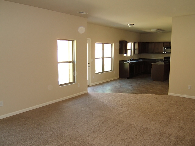 12057 Jojo Ct, Hampton, GA 30228 photo 17