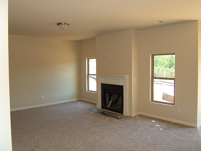 12057 Jojo Ct, Hampton, GA 30228 photo 19