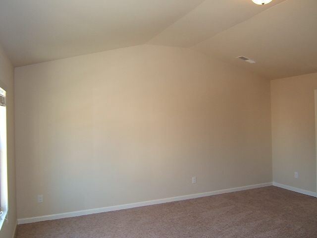 306 Hillcrest Ct, Hampton, GA 30228 photo 24