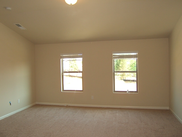 306 Hillcrest Ct, Hampton, GA 30228 photo 22