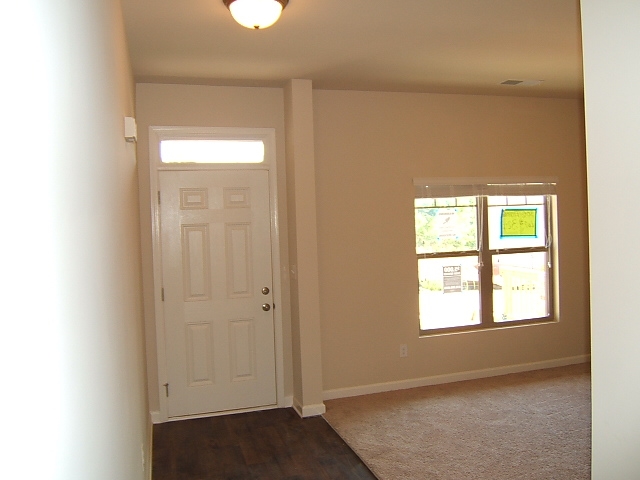 306 Hillcrest Ct, Hampton, GA 30228 photo 18